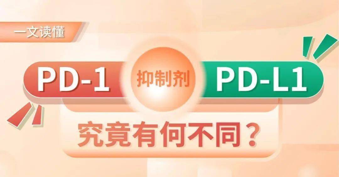 必备攻略！普通扑克读牌器,推荐1个良心渠道