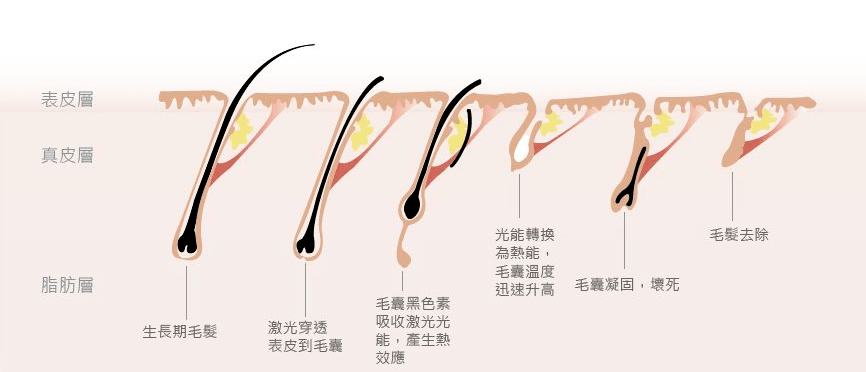 介绍十款！战神麻将机检测器免费,推荐8个购买渠道