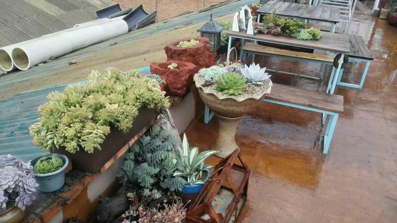 玩家必备攻略“江南牌汇约局开挂软件方法”详细教程辅助工具