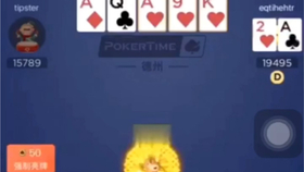 安装教程！扑克牌扫描仪不放在桌子上行吗,推荐5个良心渠道
