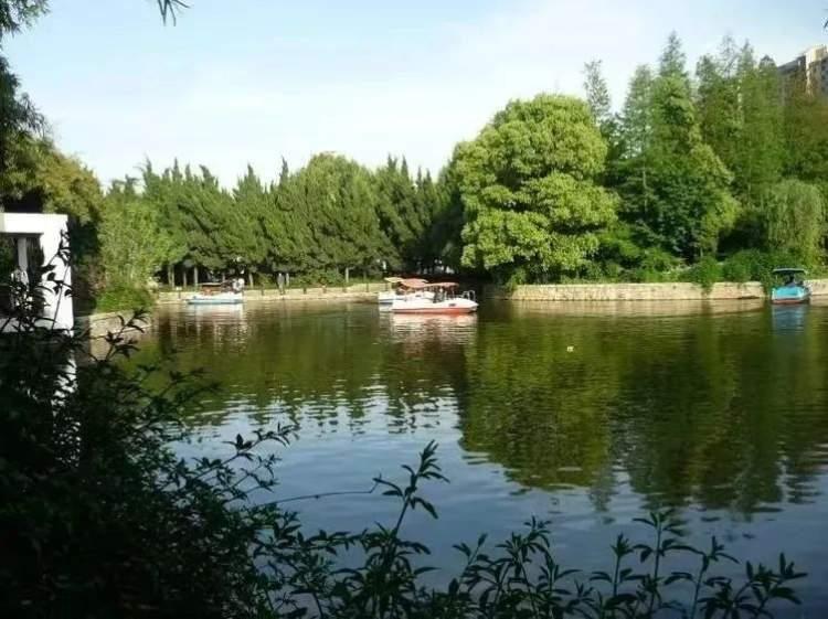 3分钟教你科普“亲友跑得快开挂开挂软件是真的吗”(确实是有挂)-哔哩哔哩