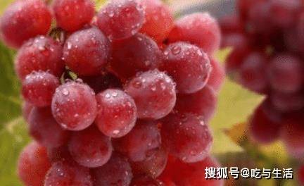 三分钟了解！市面上有没有普通扑克牌扫描仪,推荐8个购买渠道