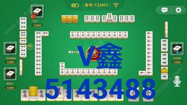 (2分钟介绍)“打牌金花最好的产品东西是什么一《我来教教你怎么赢 》