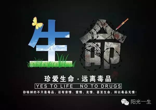 5分钟教会你“传统拼三张透视外挂!其实确实有挂