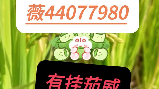 2分钟秒懂！微乐江苏麻将有规律吗(为啥我总是输)