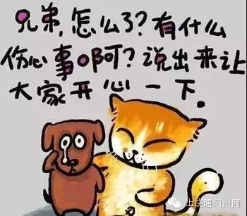 中至上饶麻将怎么一直输(揭秘手机上助赢神器购买)