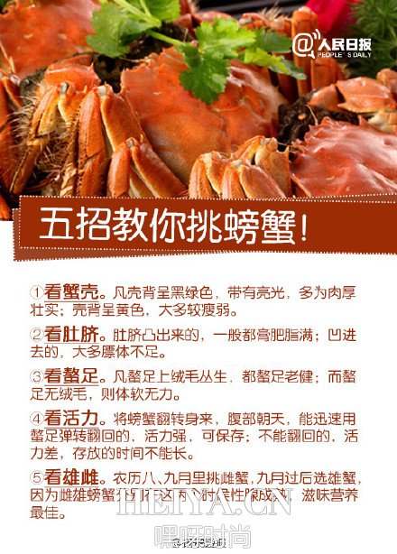 3分钟教你科普“怎么看鱼虾蟹—详细解说+新浪科技