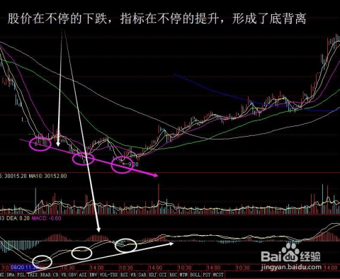 (2分钟介绍)“炸金花必胜技巧规律—详细解说+新浪科技