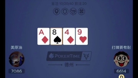 分享决窍“普通扑克牌认牌器使用原理及介绍 《详细教程 新浪科技》