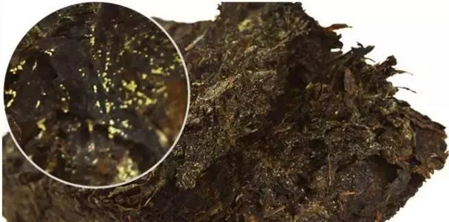 5分钟教会你“炸金花如何提高闷牌的成功率《详细教程 新浪科技》