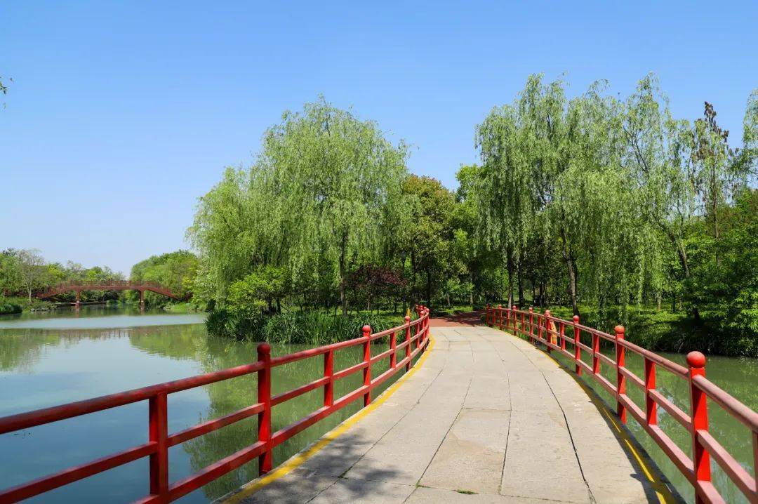 蜀将麻将确实有挂吗(原来真的有挂)