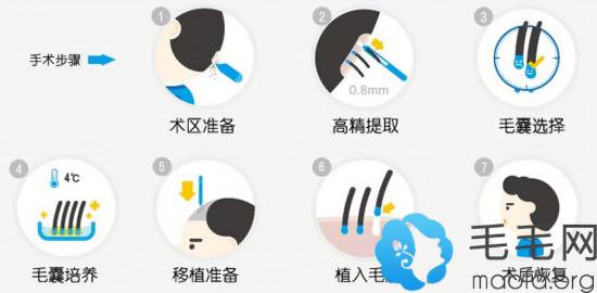 一分钟教你“打金花最简单作弊工具讲解《新浪科技 讲解窍门》