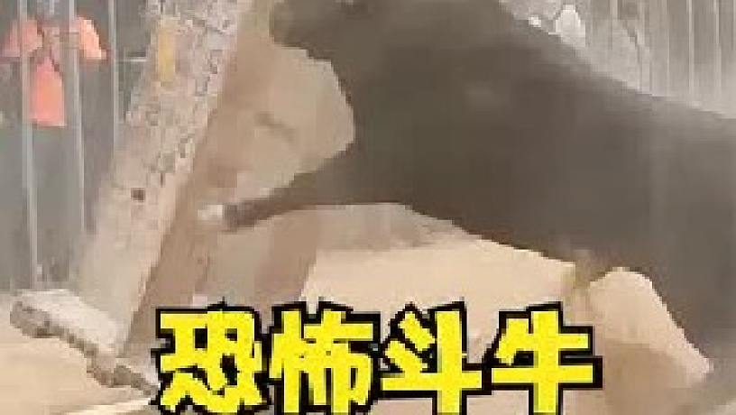 3分钟教你科普“打斗牛怎么才可以出千《详细教程 新浪科技》