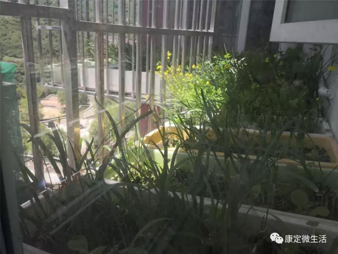 微友麻将是不是有挂(其实是有挂确实有挂)