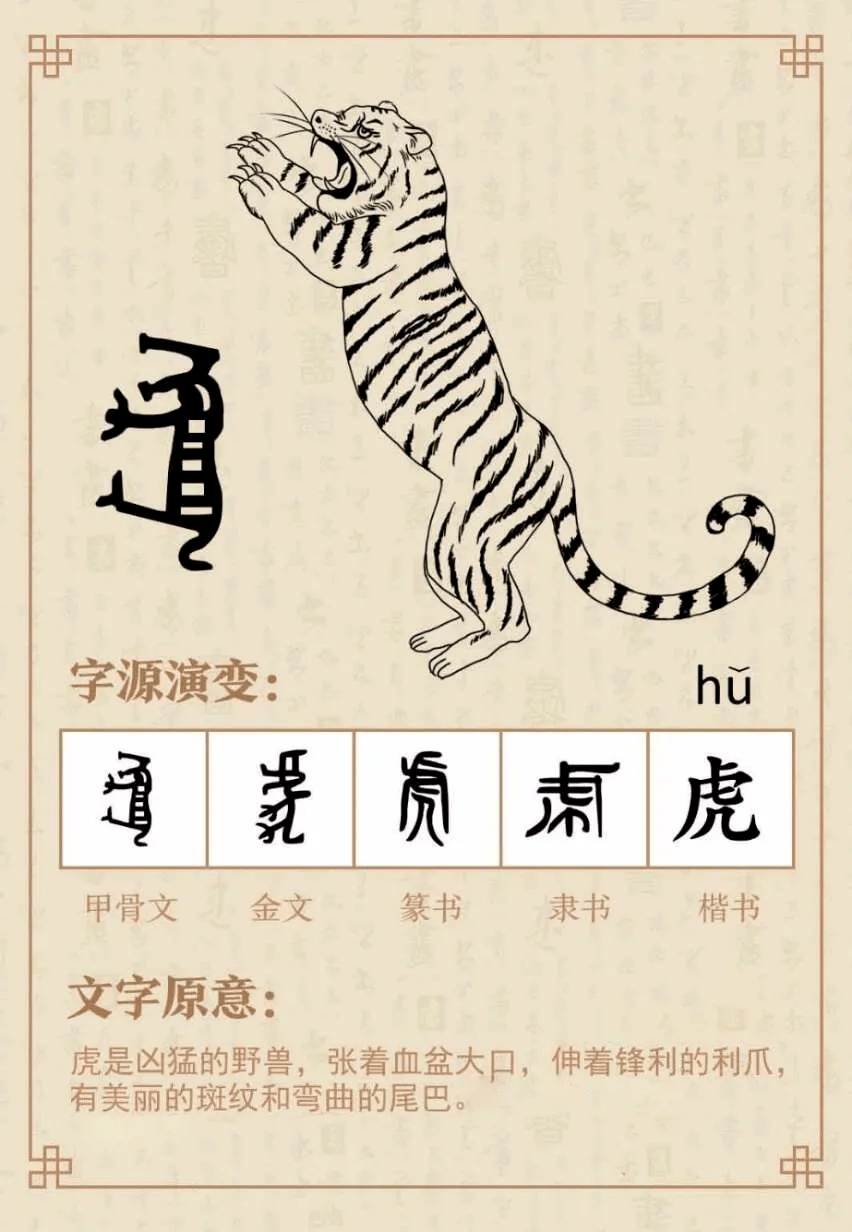 一分钟教你“怎么看穿老虎狮子《新浪科技 讲解窍门》