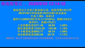 (2分钟介绍)“三公开船摄像头报牌器是真的吗《新浪科技 讲解窍门》