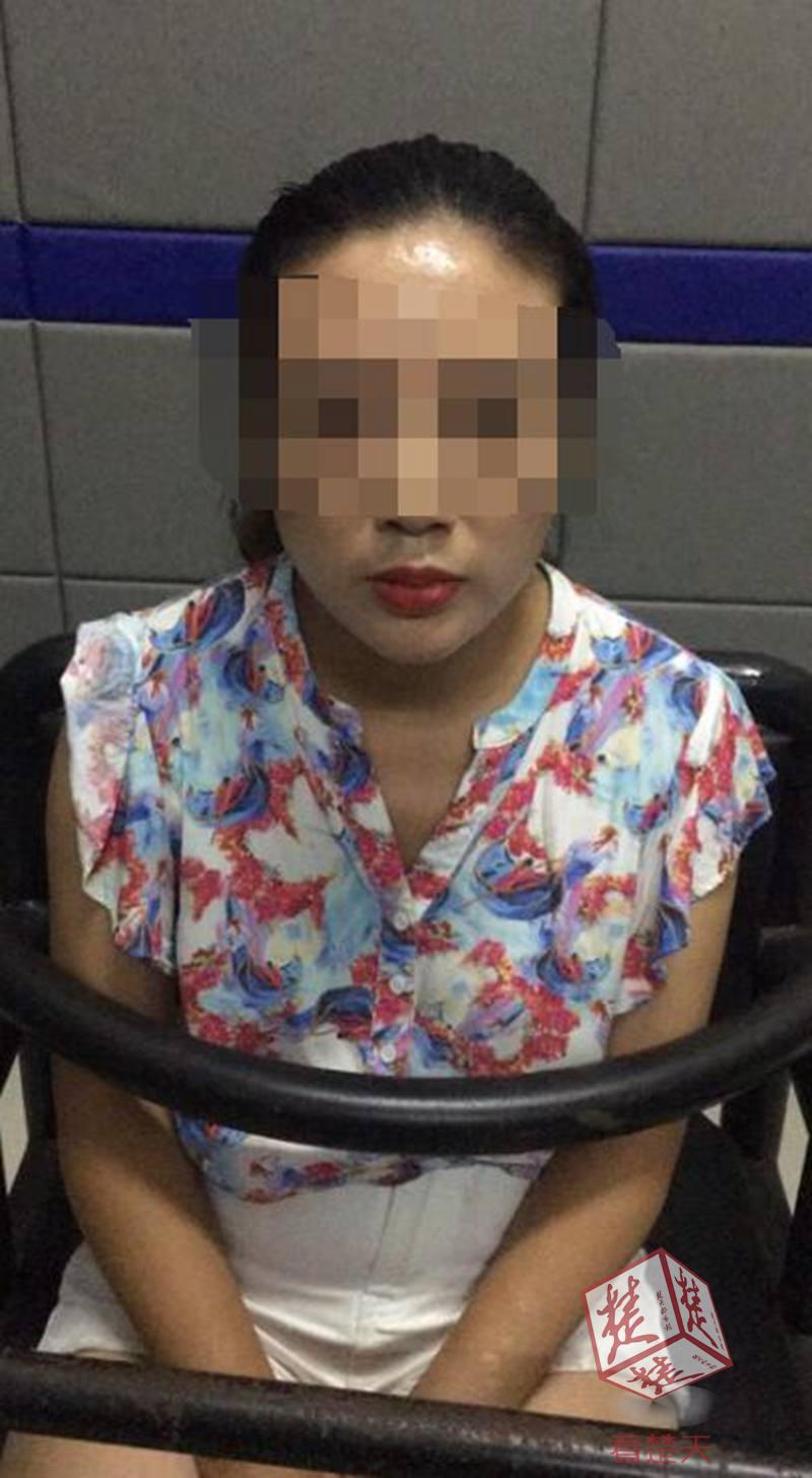三分钟了解&quot;看透色子押单双的仪器一《我来教教你怎么赢 》
