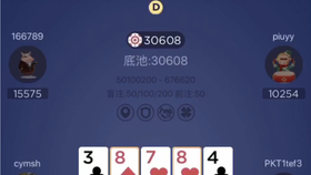 教程辅助“普通扑克牌分析仪多少钱一套_《爱问知识人 使用说明》