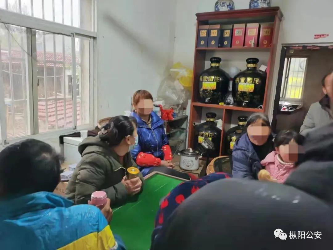 火爆全网!扑克扫码器新款《详细教程 新浪科技》