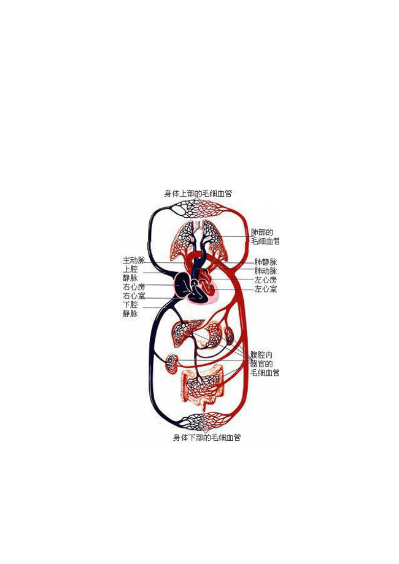 实测分享“新款又实用识别普通扑克牌设备_《爱问知识人 使用说明》