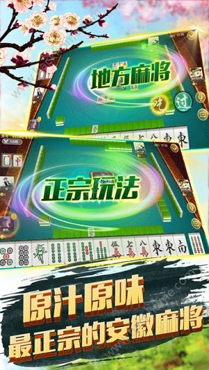 乐乐安徽麻将其实确实有挂(有挂技巧辅助器)