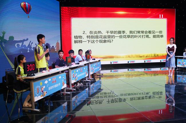 一分钟教你“猜宝必胜技巧诀窍_科技讯讲解《详细教程 新浪科技》
