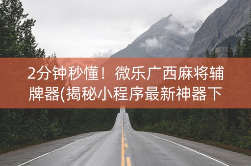 微乐小程序麻将辅牌器(揭秘小程序攻略插件)