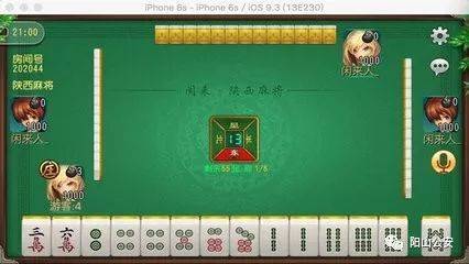 大头十三水怎么提高胜率(揭秘微信里输赢规律)