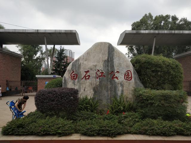 三分钟了解云南手机麻将真的确实是有挂(其实是有挂的)