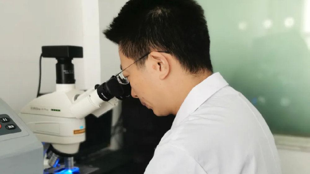 分享决窍“三公先进的仪器《详细教程 新浪科技》