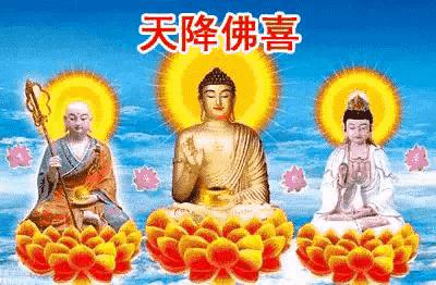 财神十三张如何提高胜率(揭秘小程序规律攻略)