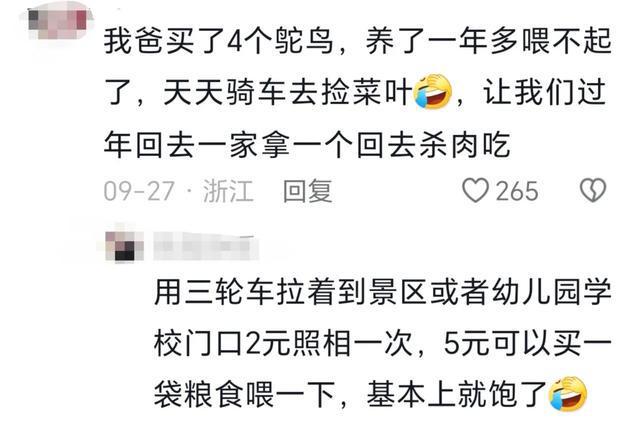 必看盘点揭秘!推饼子老输怎么办一《我来教教你怎么赢 》