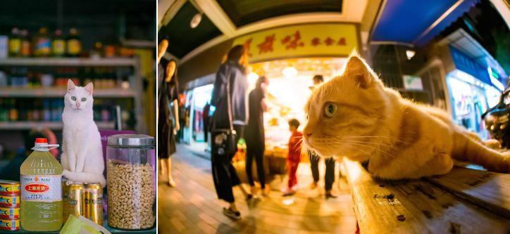 泉州手机麻将其实真的确实有挂(其实是有挂的)